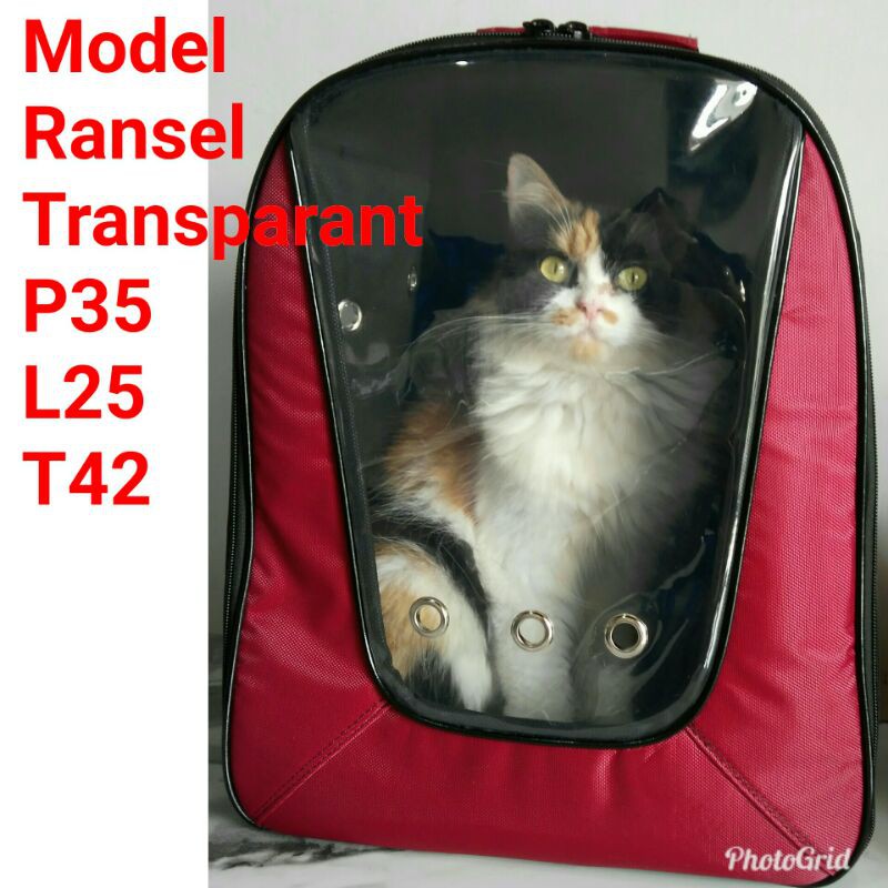 TAS KUCING JUMBO Tas Hewan Model Ransel Transparan Tas Musang Kelinci Reptil Oter dan Hewan Lain