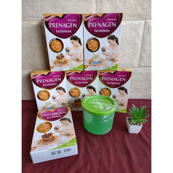 PRENAGEN LACTAMAM // PRENAGEN LACTAMAM
