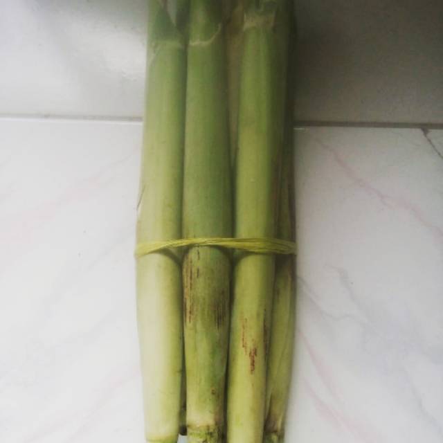 

turubuk lezat murah 500gr