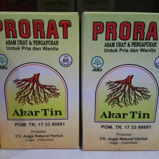 

Prorat Obat Herbal Asam Urat & Pengapuran Dari Akar Buah Tin