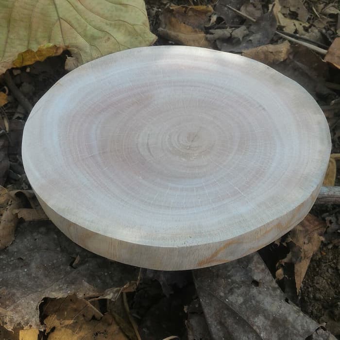 Potongan kayu alami natural wood slice talenan kayu hiasan dinding