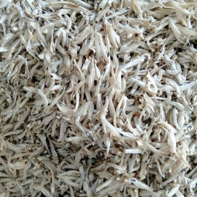 

promo teri jengki belah1kg @85rb fresh