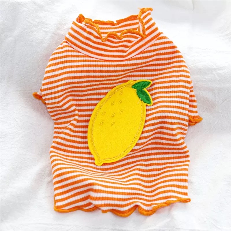 Korea Jun nee fruit stripe top