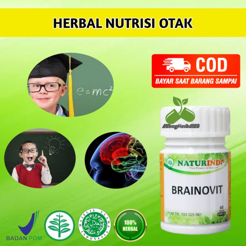 Obat herbal pelupa pikun saraf otak BRAINOVIT isi 60 kapsul-1