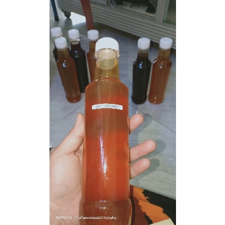 

Madu Hutan Sialang Musi Banyuasin Rasa Manis & Hitam Pahit