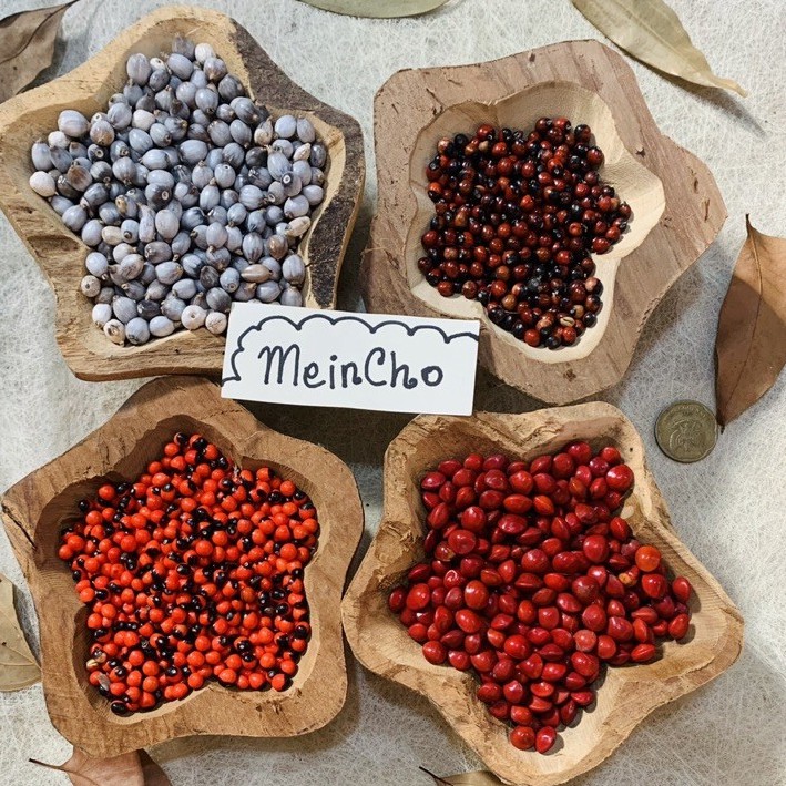 (1kg/3500biji) Kolase Biji Saga Merah Hitam Pohon Saga Telik Jali Barley Jelali Dekorasi Rustik