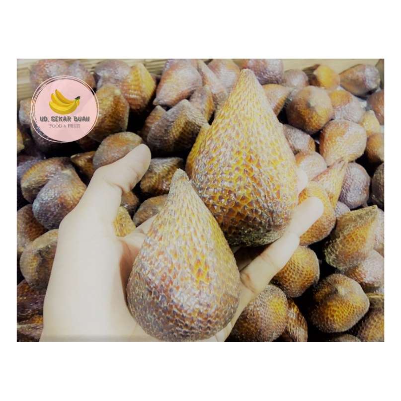 

SALAK PONDOH MANIS 1/2KG