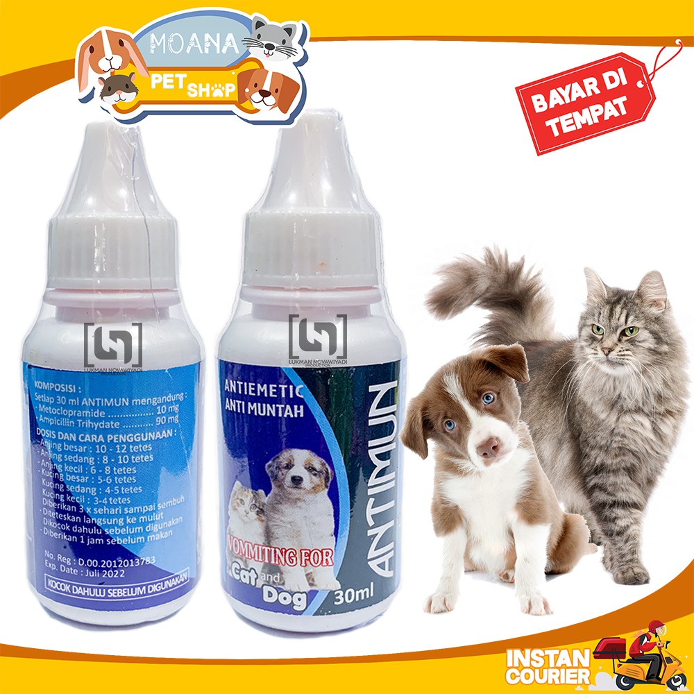 OBAT MUNTAH KUCING ANJING SAKIT PENCERNAAN ANTIMUN CAT DOG