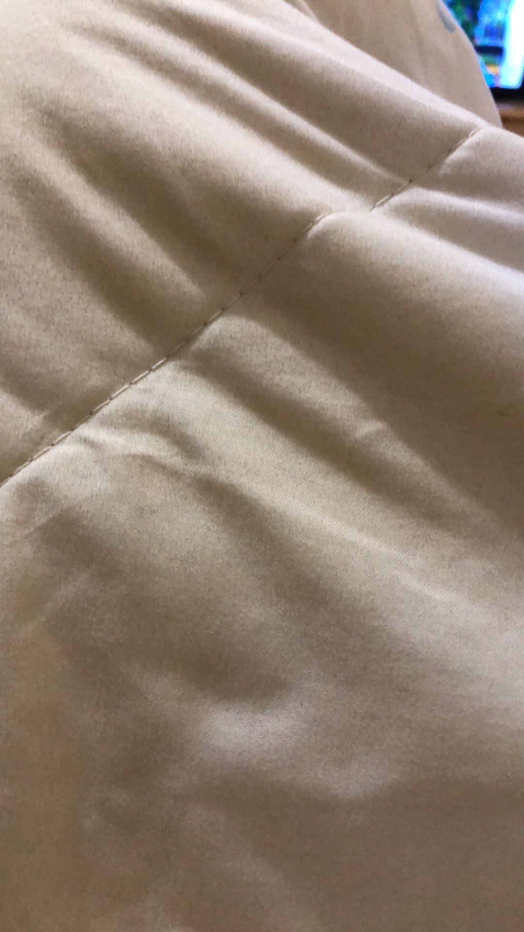 Wp Project Hiasan Dinding Walldecor Pajangan Dinding Shabby Chic Quotes