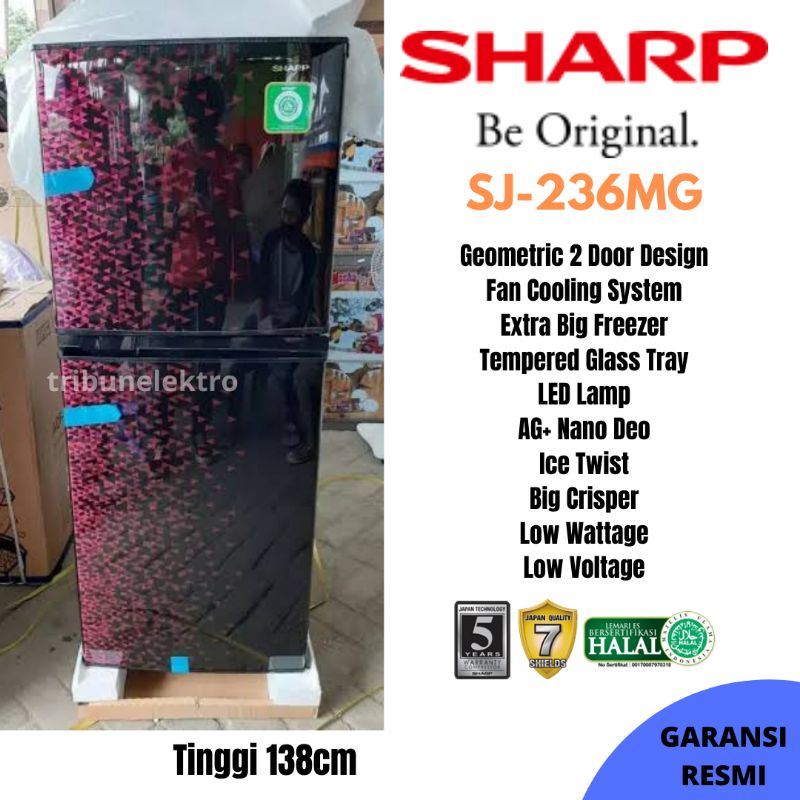 KULKAS SHARP 2 PINTU TANPA BUNGA ES SJ-236MGGR TOKO ELEKTRONIK TEGAL PEMALANG