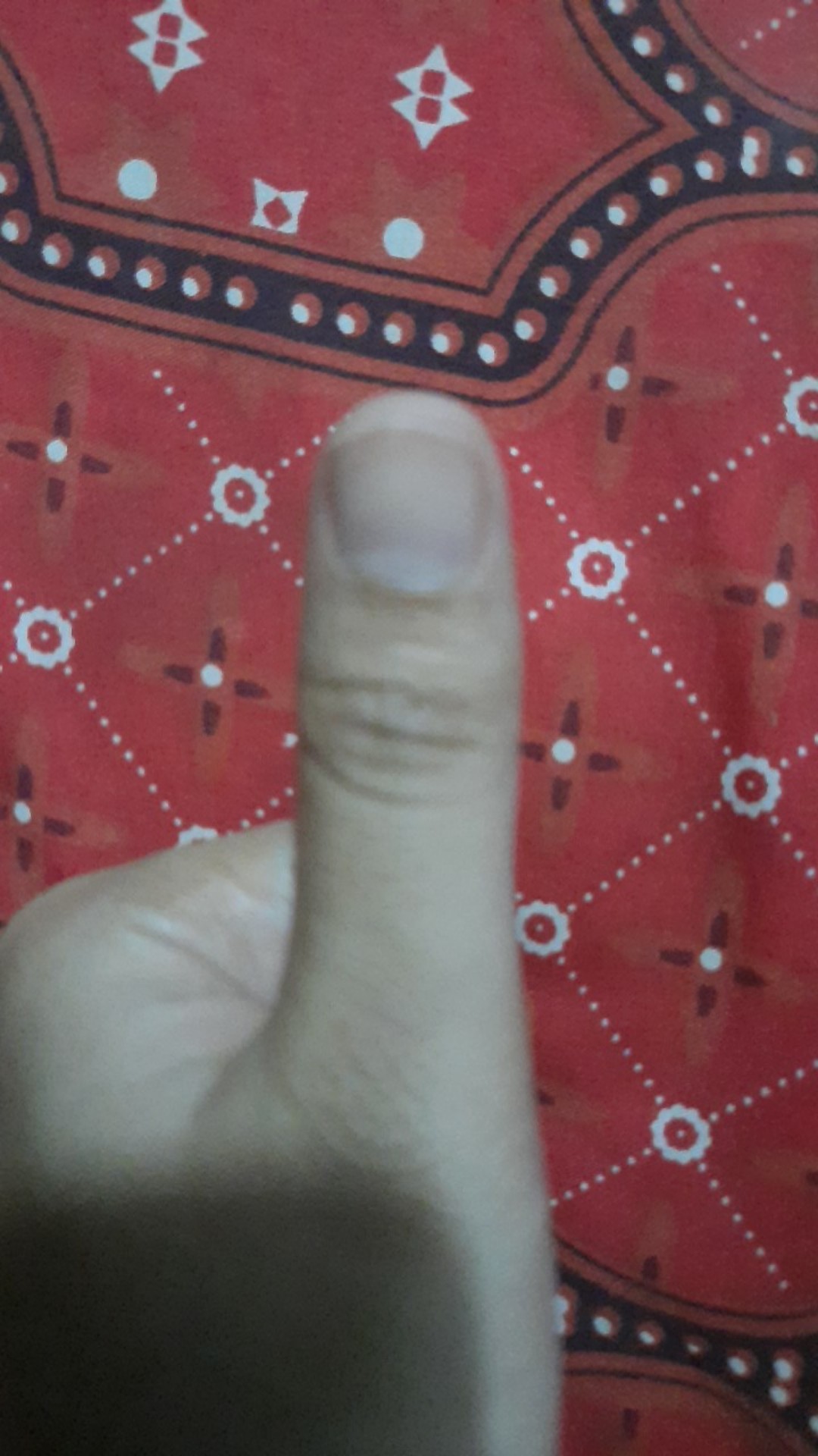 Kuas Cat Tembok 1, 11/2 , 2, 3, 4 , Sampai 5 Gagang Kayu Putih  Nippon Star