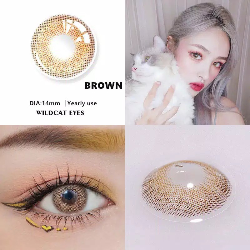 RCS♥️ Softlens import korea wild cat series softlens kpop