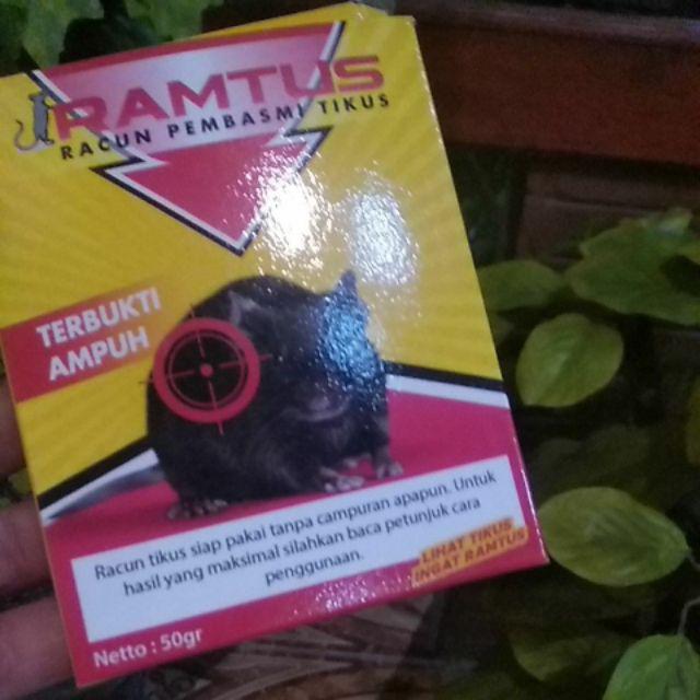 Racun Tikus Pembasmi Hama Mati Kering Paling Ampuh - Temanggung