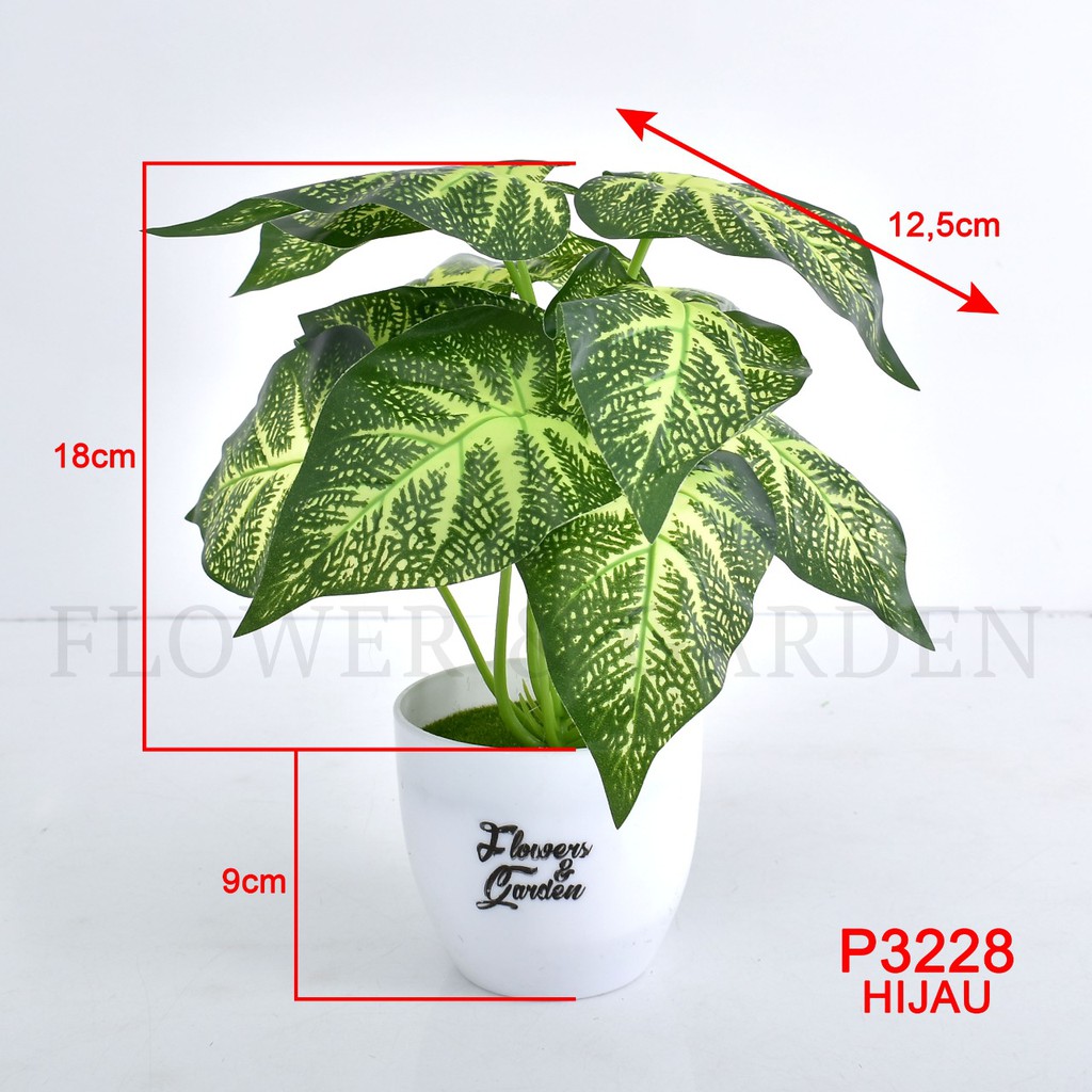 COD/TF11 TANAMAN HIAS TANAMAN DAUN PLASTIK TANAMAN HIAS RUMAH BUNGA HIAS BUNGA PLASTIK BUNGA P3228-2