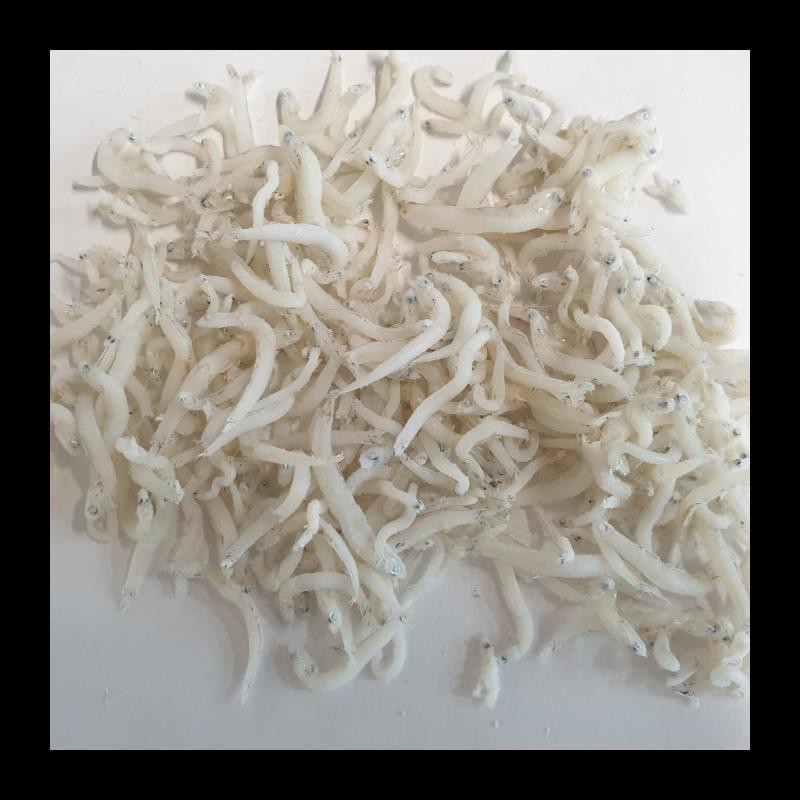 

READY STOK! IKAN TERI MEDAN KUALITAS SUPER MURAH