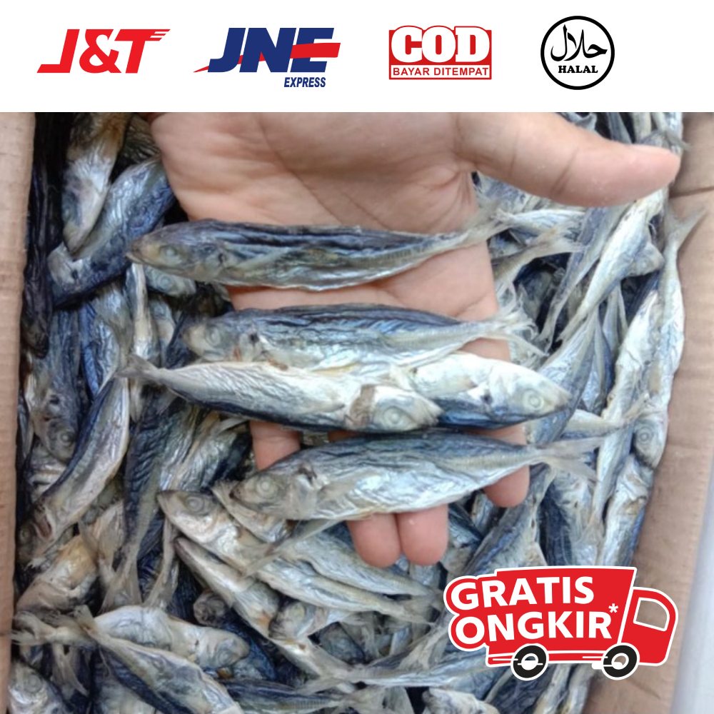 

Ikan asin ogak khas medan 100 gram asli medan