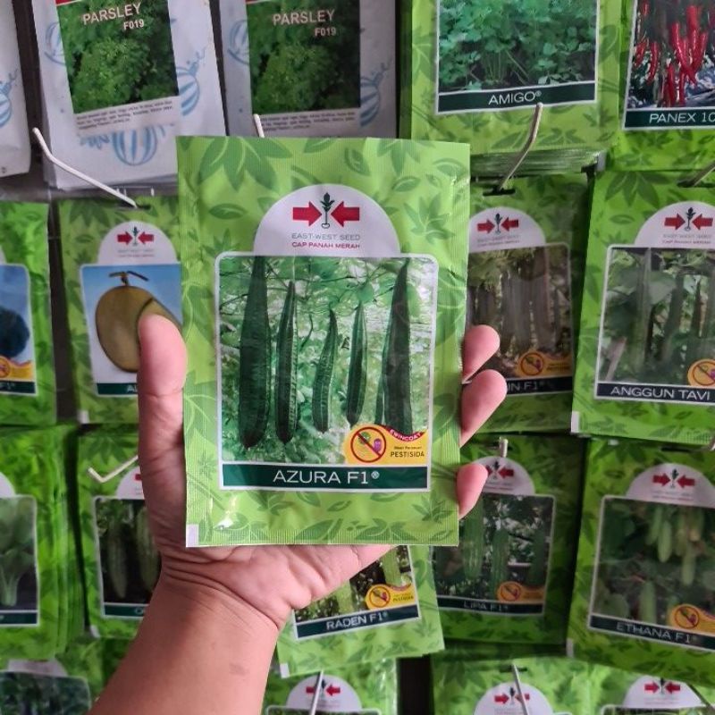 Benih BIbit  Oyong AZURA 75 Biji