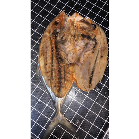 trakulu atau tongkol kuning