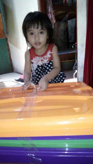 Box Container Roda  50ltr [caraville]