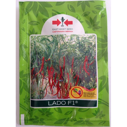 Benih Cabe Keriting Lado 10 gram