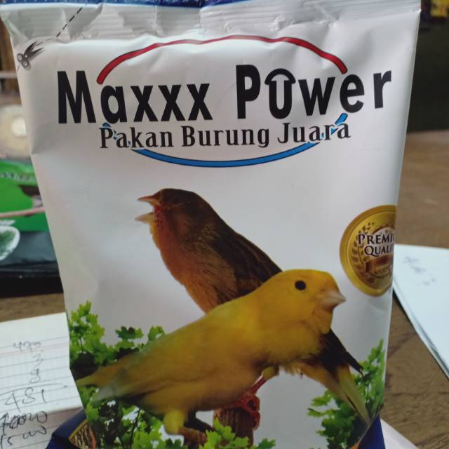 1 saset maxxx power canary pakan burung kenari lovebird blacktroat