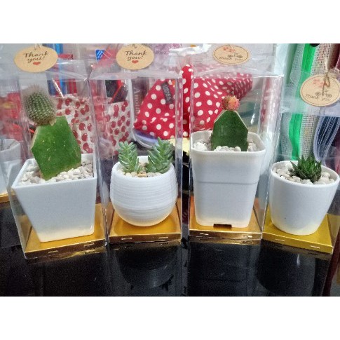

Kotak mika kemasan souvenir pernikahan 7x7x11