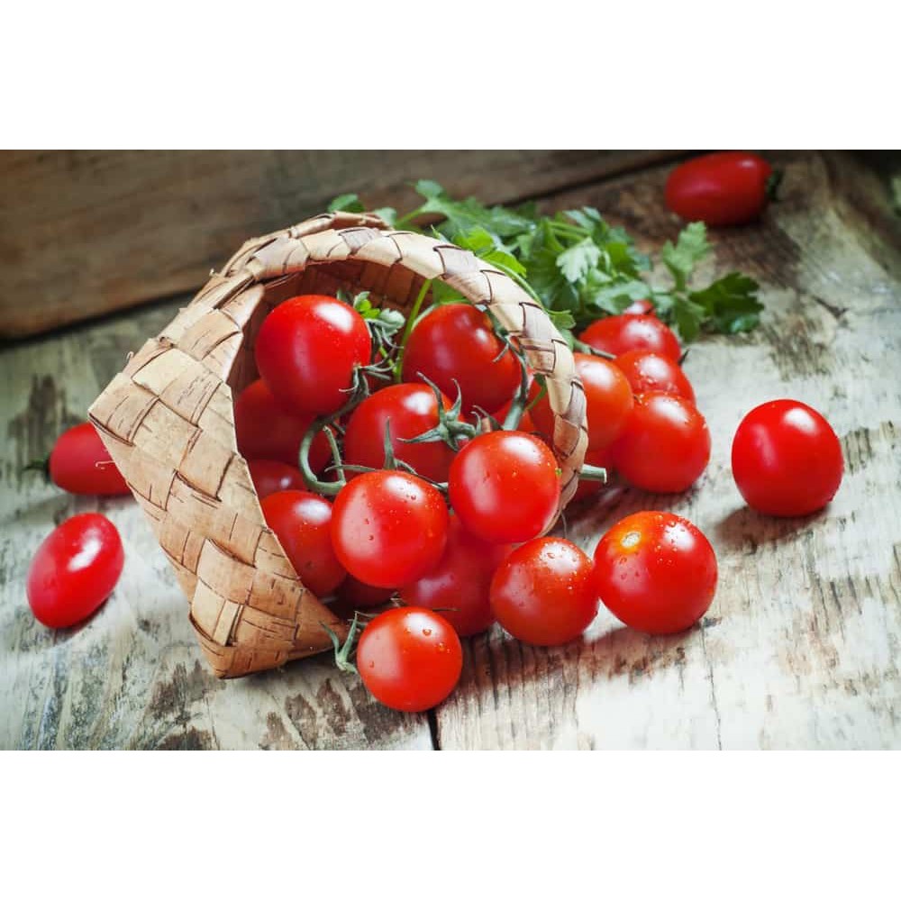 

Sayuran Segar Tomat Ceri / Tomat Cherry