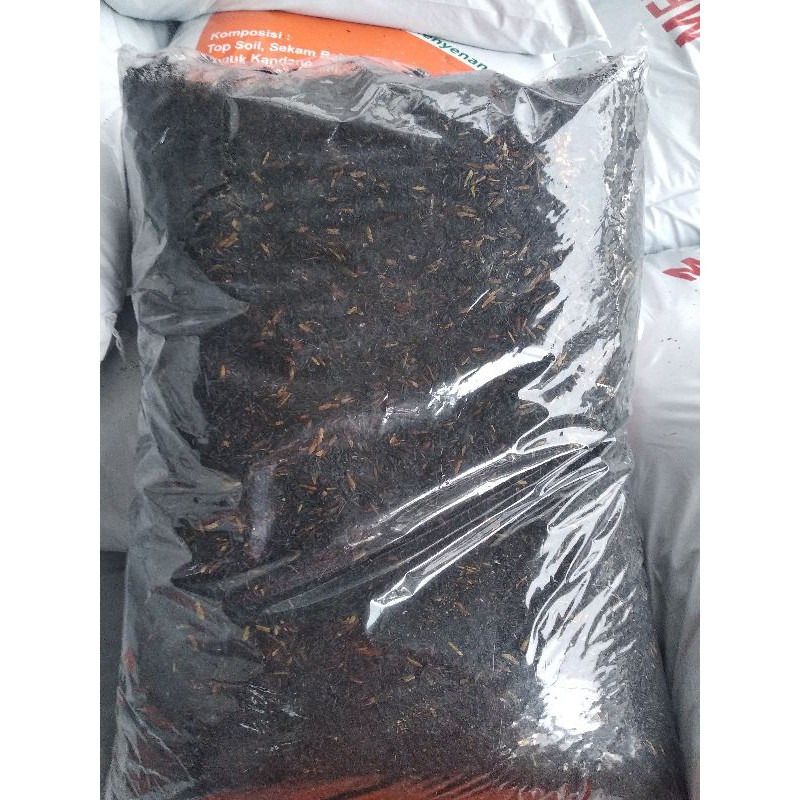 

sekam bakar murni 1kg