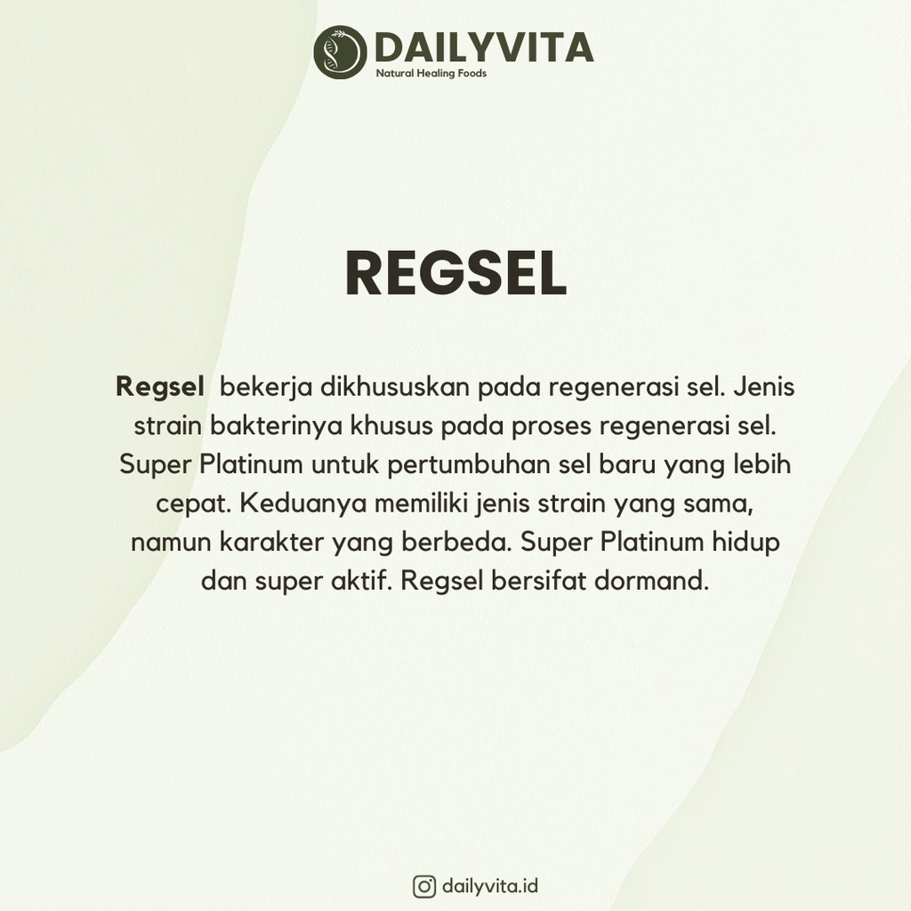 Bioth - Regsel Obat Tetes Herbal 30 ml