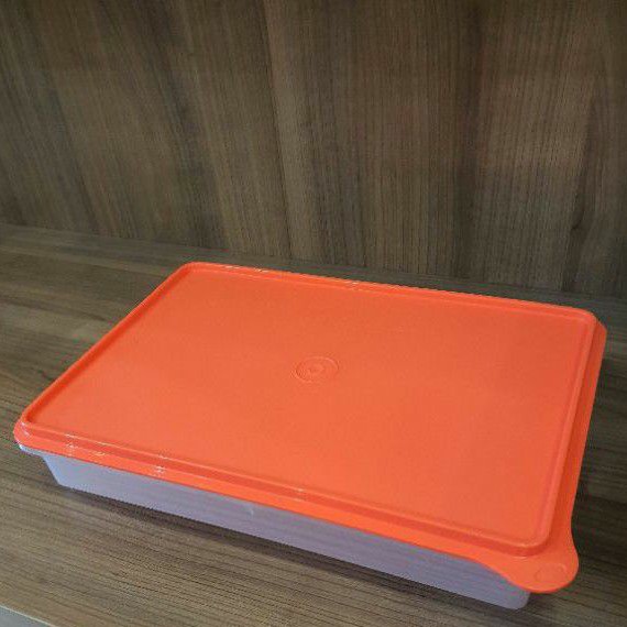 LARGE SNAK N STOR B2B COLD CUT KEEPER WADAH TEMPAT PENYIMPANAN MAKANAN BEKU KULKAS FREEZER 99k