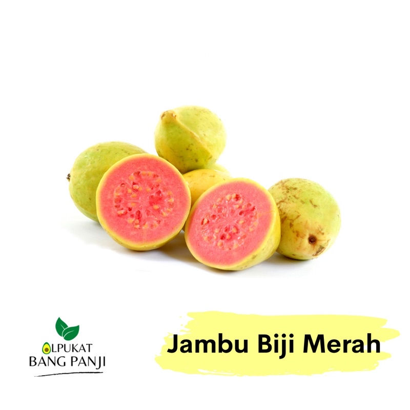 

ALPUKAT BANG PANJI - Jambu Biji Merah / Guava