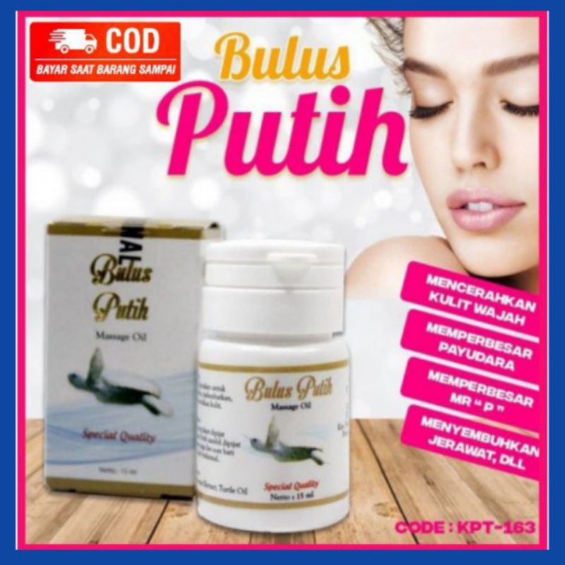 Minyak Bulus Bio Herbal Minyak Bulus Putih Message Oil Pengencang Payudara  Pembesar Mr P