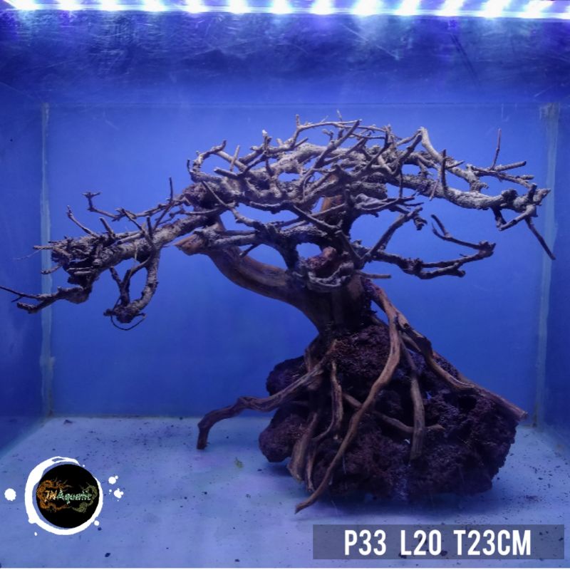 Bonsai aquascape Santigi pasir