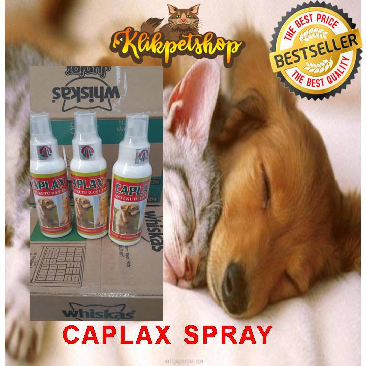 Obat Kutu Anjing Kucing Caplax Spray