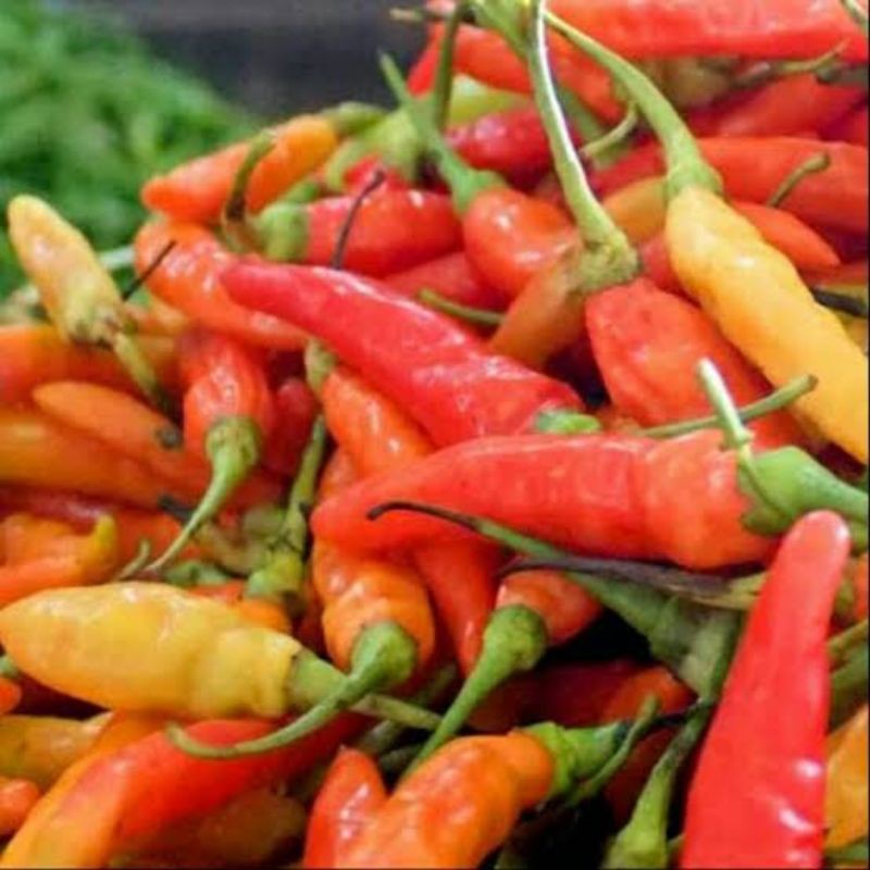 

cabe rawit merah segar berkualitas - 250 Gram