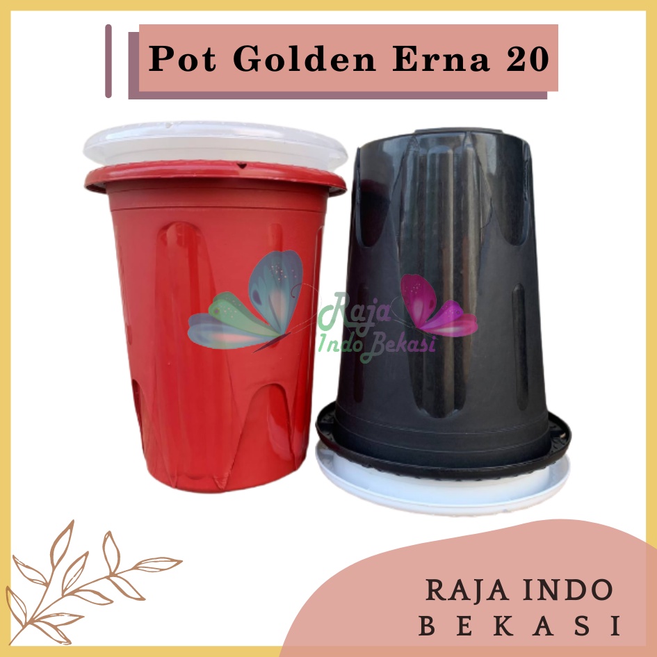 Rajaindobekasi Pot GE 20 Golden Erna 20 Putih Hitam Transparan Bening Merah Bata pcs Pot Yogap 10 13 15 17 18 19 25 Pot Yogap Bening LUSINAN POT YOGAP MURAH