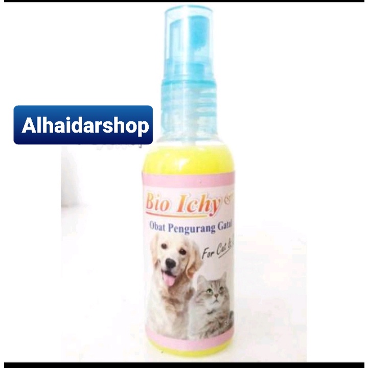 obat kucing scabies gatal koreng paling ampuh