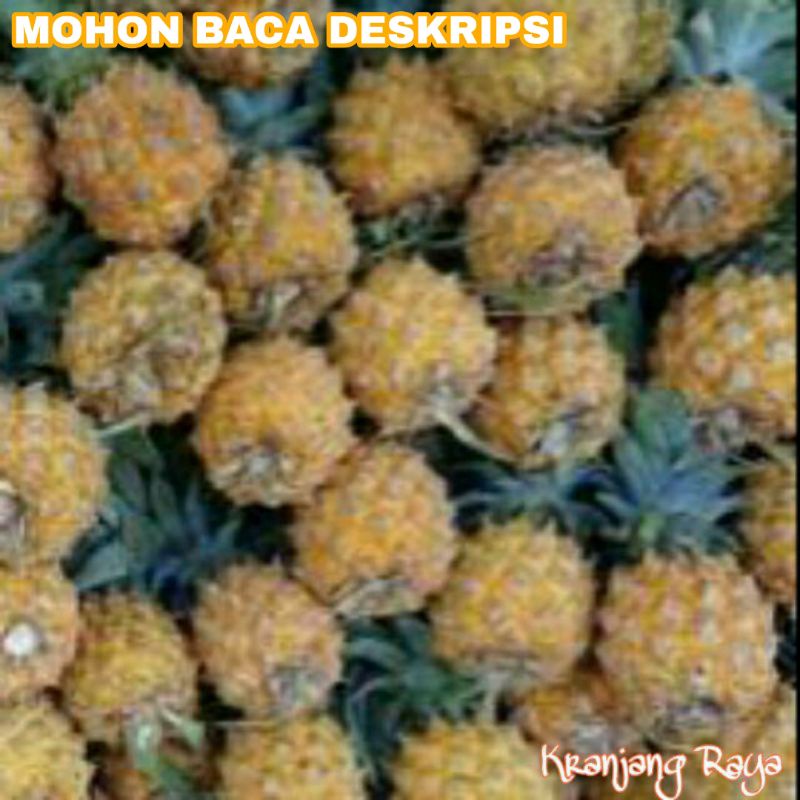 Nanas Madu per buah