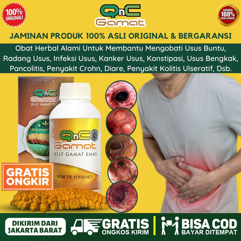 OBAT RADANG USUS BESAR - OBAT RADANG USUS BUNTU - RADANG USUS 12 JARI - INFEKSI USUS - QNC JELLY GAM