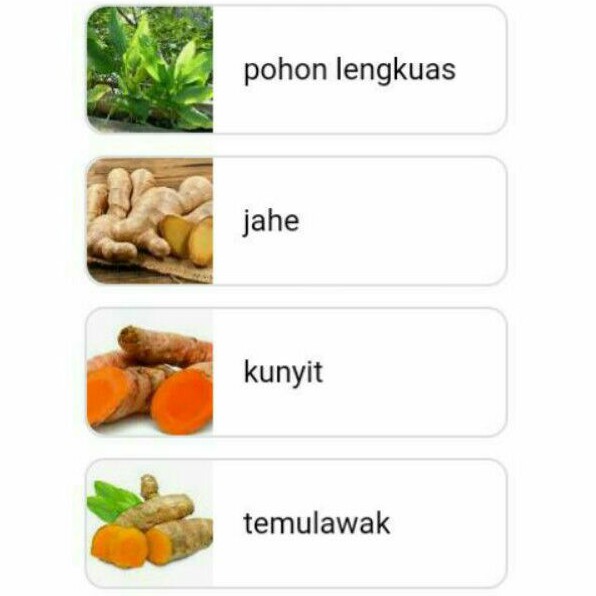

aneka bumbu Temulawak,lengkuas,sereh,laos,kunyit,jahe,ketumbar,kayu manis,kapulaga,jinten
