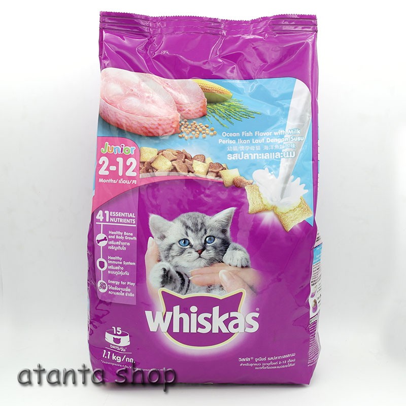 Whiskas - 1.1kg Junior Ocean Fish dry food makanan kucing