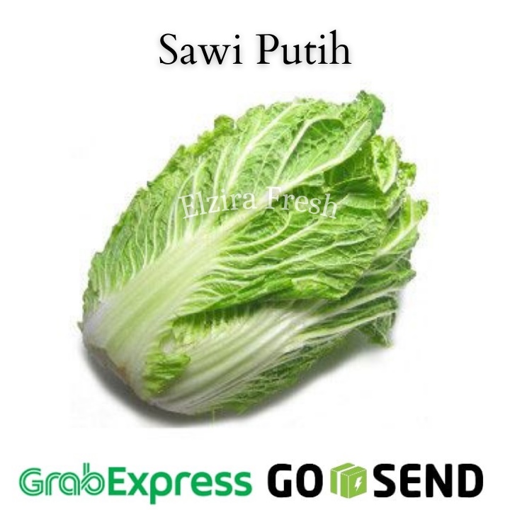 

Sawi Putih Segar 250 gr (Elzira Fresh)