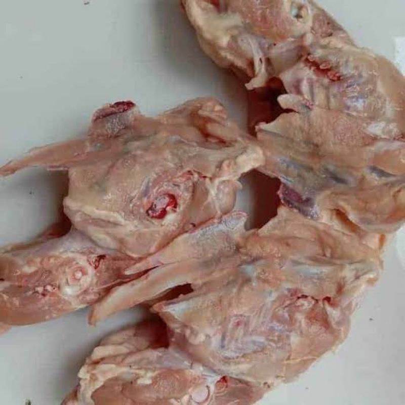 

Tulang Kerongkongan Ayam Segar