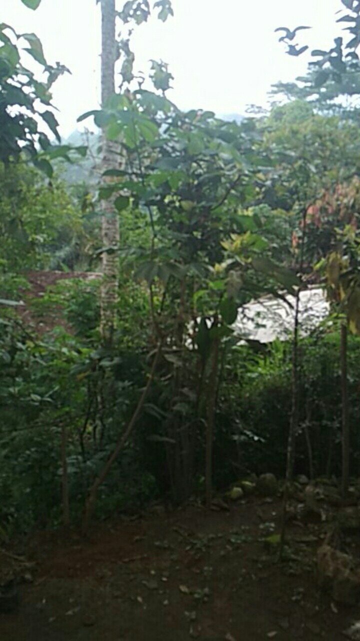 Kemasan Kopi Flatbuttom Kraft 100gr Kopi