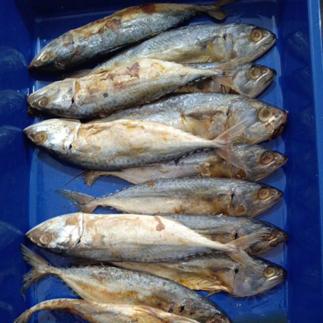 

IKAN PEDA 100GR