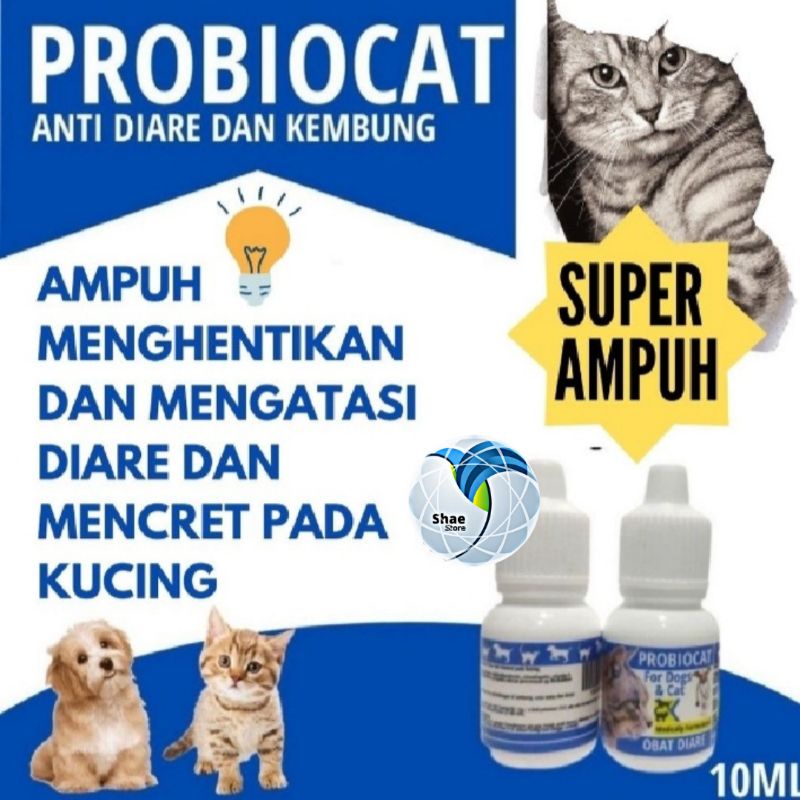 Obat Kucing Anjing Mencret Obat Diare kucing Anjing Obat gangguan pencernaan Ampuh