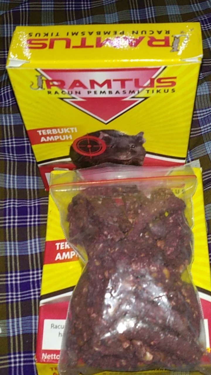 Ramtus Racun Tikus Got Curut Paling Ampuh Pembasmi Tikus Dirumah Racun Tikus Di Mesin Mobil 2 Pack