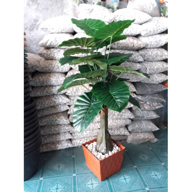 Daun talas artifiscial daun keladi hijau vas plastik