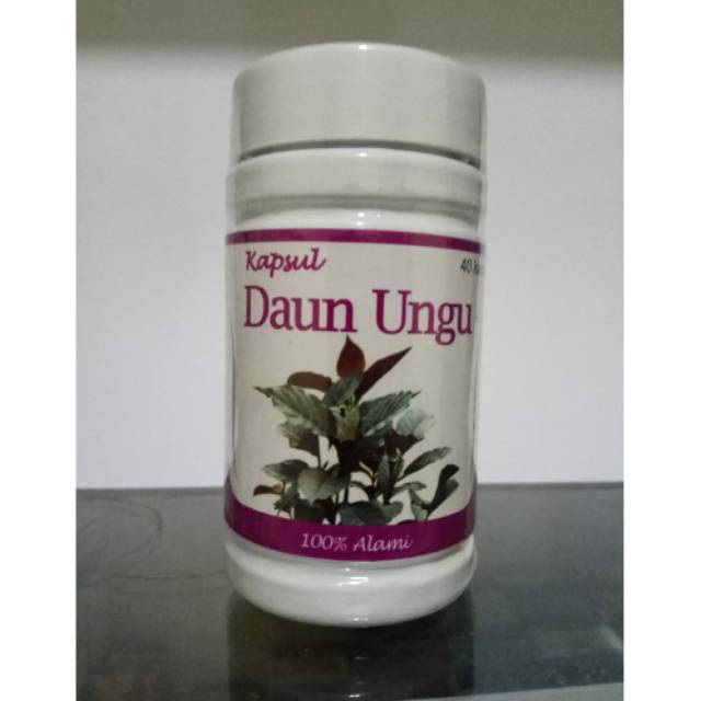 Daun ungu kapsul