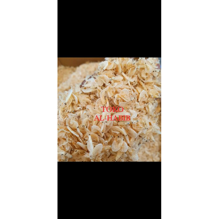 

ikan udang rebon - 250 gram / rebon kasar / ikan asin rebon / ikan bagus